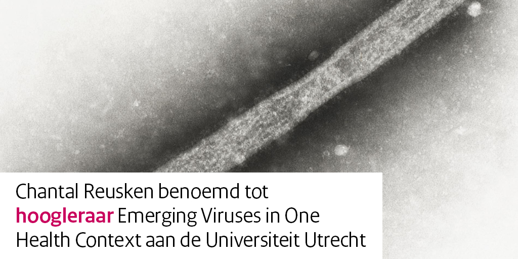 RIVM (@rivm) on Twitter photo Onze collega Chantal Reusken, viroloog en topexpert bij het Centrum Infectieziektebestrijding, is benoemd tot hoogleraar aan de <a href="/UniUtrecht/">Utrecht University</a>. Vanaf 1 juni is ze hoogleraar Emerging Viruses in One Health Context bij de faculteit Diergeneeskunde.
➡️ rivm.nl/nieuws/rivm-vi… Onze collega Chantal Reusken, viroloog en topexpert bij het Centrum Infectieziektebestrijding, is benoemd tot hoogleraar aan de <a href="/UniUtrecht/">Utrecht University</a>. Vanaf 1 juni is ze hoogleraar Emerging Viruses in One Health Context bij de faculteit Diergeneeskunde.
➡️ rivm.nl/nieuws/rivm-vi…