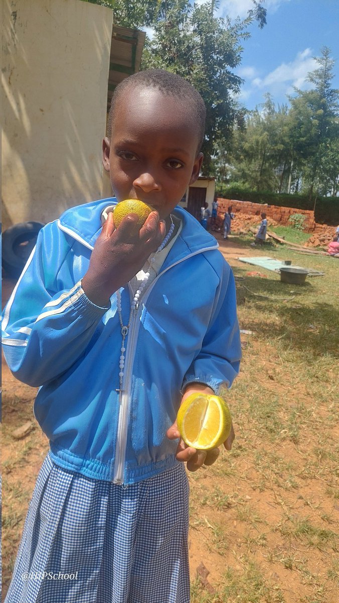 lkegode's tweet photo. A well-balanced diet supports our students' health, development, and academic performance. We are calling on well-wishers and supporters to help sustain the meal programs at our centre. Your support can make a lasting difference in the lives of these children. https://t.co/fG9FfLogXY