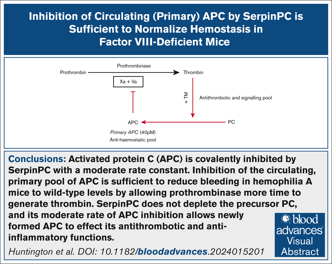 SerpinPC treatment of factor VIII–deficient mice fully restored hemostasis in a tail clip model in a dose- and time-dependent manner. ow.ly/G4E450W0xcR #thrombosisandhemostasis