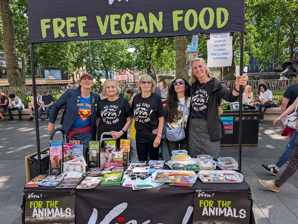 The London Viva! outreach team in Leicester Square this weekend 🙌 💚 Thank you to all of the hardworking volunteers!

The next event in London Leicester Square will be on Saturday 28th June. For our complete events diary, head to 👉 facebook.com/groups/1357032…

#vegan #veganism
