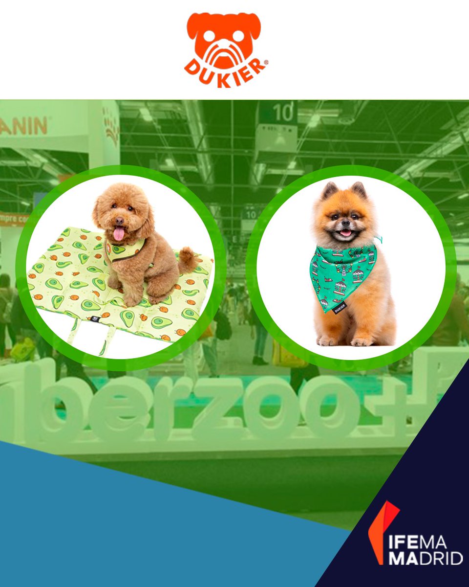 Iberzoo+Propet (@iberzoopropet) on Twitter photo 🐾✨Dukier brilló en #IberzooPropet2025 presentando una amplia gama de productos que transforman cada paseo: camas, correas, bandanas, arneses y mucho más, con unos diseños muy innovadores y originales.
¡Gracias por acompañarnos en la pasada edición en <a href="/IFEMA/">IFEMA MADRID</a> MADRID! 🐾✨Dukier brilló en #IberzooPropet2025 presentando una amplia gama de productos que transforman cada paseo: camas, correas, bandanas, arneses y mucho más, con unos diseños muy innovadores y originales.
¡Gracias por acompañarnos en la pasada edición en <a href="/IFEMA/">IFEMA MADRID</a> MADRID!