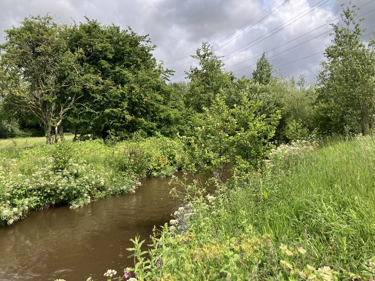 Brock &amp; Calder Landscape Recovery. Excellent to see such great vision behind action by farmers &amp; estates from source to sea in the Wyre catchment, to slow flow &amp; improve water via restoring soil health, protecting peat &amp; creating habitat, &amp; with all that helping Nature to recover