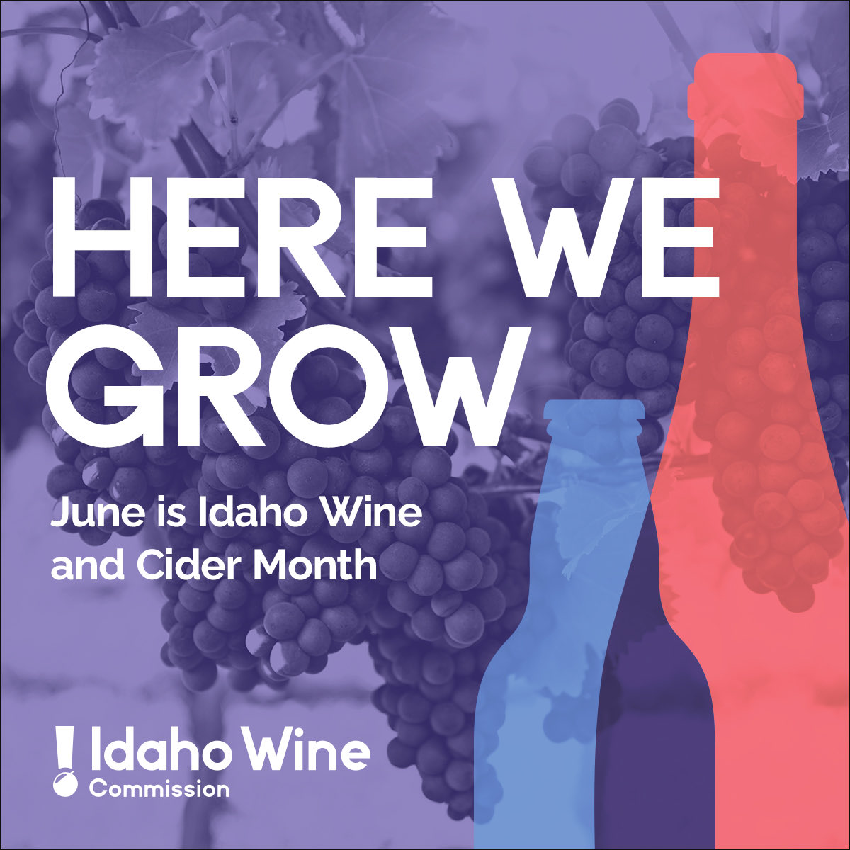 It’s a perfect day to sit and sip on the Tasting Room patio while watching our grapes grow. @IdahoWines @SunnyslopeWineTrail #DrinkIdahoWines