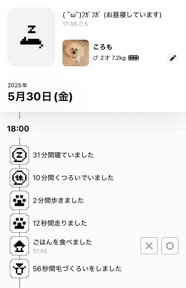 my_lovely_fwfw's tweet photo. 犬版catlogのテスト版をお試ししております。
たまごっちみたいでかわいい。製品版が楽しみ！
#Catlog4Dogs https://t.co/LyFlCXqqH8