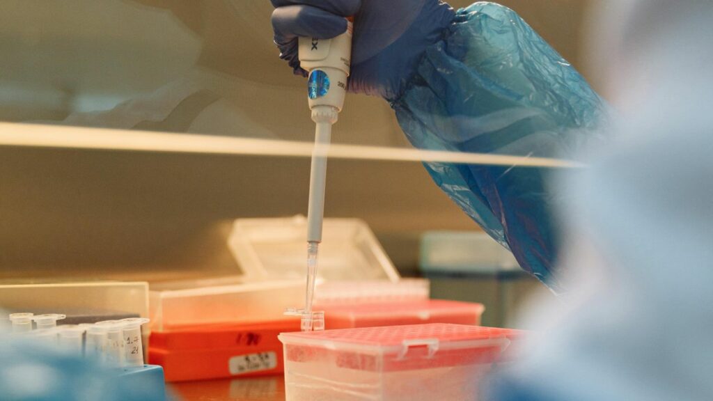 🔎🧬Identifiquen les regions de l’ADN i els gens clau que activen la regeneració del fetge.
L’estudi ofereix un mapa genòmic🗺️ sobre els mecanismes moleculars que fan possible aquest procés, amb potencials implicacions per a la medicina regenerativa.
🆕idibell.cat/2025/06/identi…