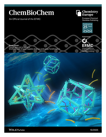 #ChemBioChem #OnTheCover Wireframe #DNAorigami Capable of Vertex-protruding Transformation (ChemBioChem 10/2025) (Yusuke Sato and co-workers) onlinelibrary.wiley.com/doi/10.1002/cb… • onlinelibrary.wiley.com/doi/10.1002/cb…
