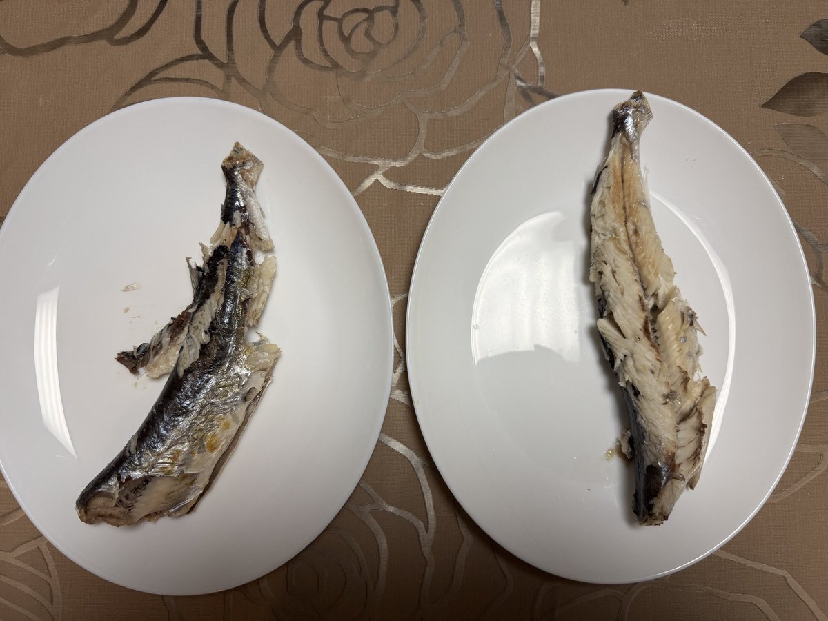 1N515's tweet photo. ハンバーグはうまく行くんだけど、グリル洗うのが面倒でクッキンシートとフライパンで魚焼くと必ず悲惨なことになる　コツはなんなんだ？！ https://t.co/A0Fx1kx4ek