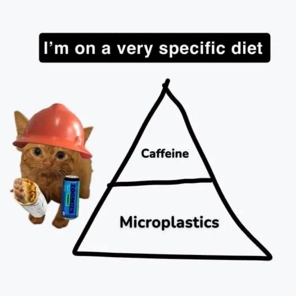chaotic memes (@memechaotic) on Twitter photo 