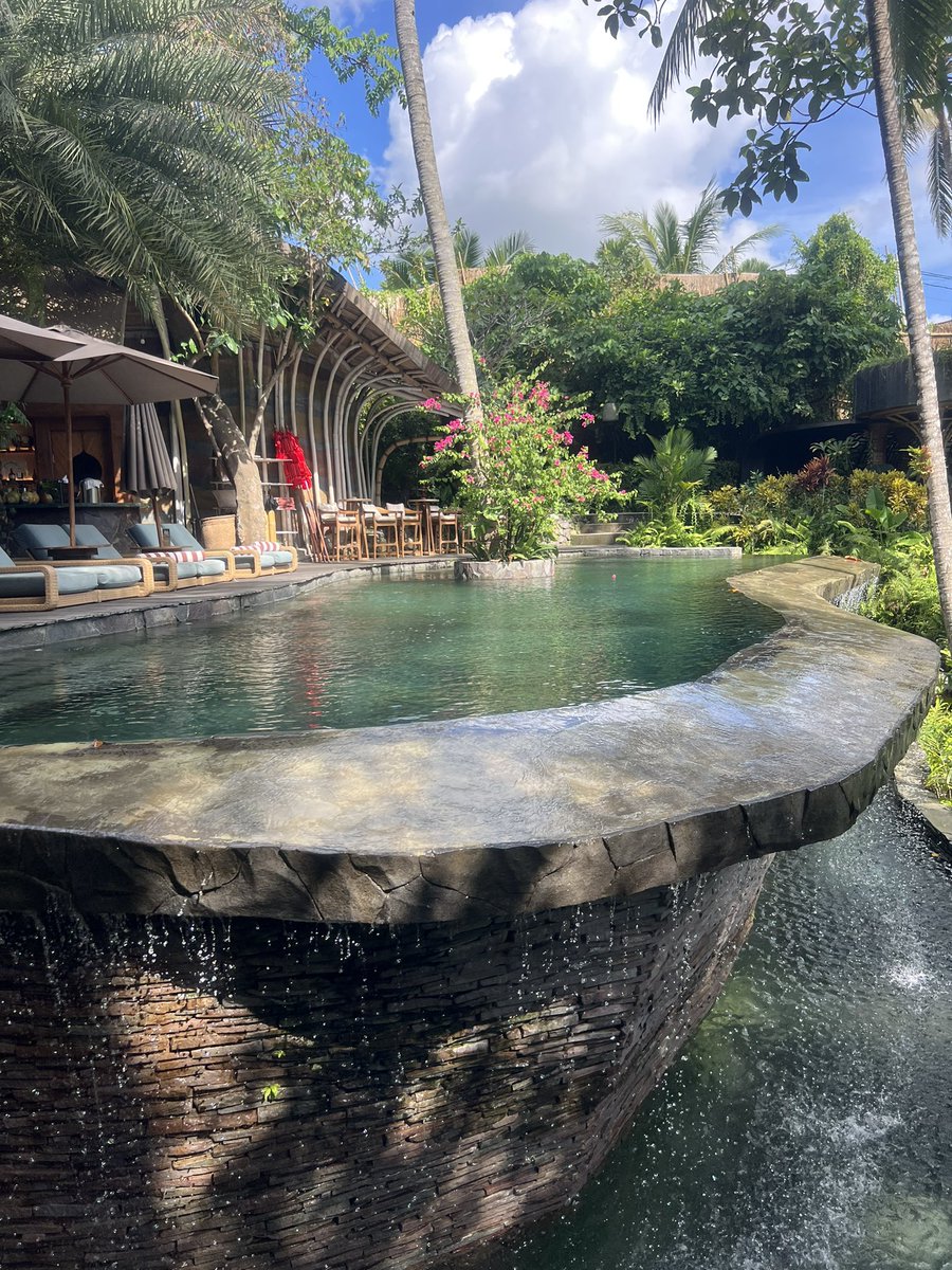 GM #degen #DegenBuilders 
#mfer #bayc #Doodles #doodle #Penguins #rektguys #nakamigos 

Trip to #Bali a beautiful place in the world ❤️