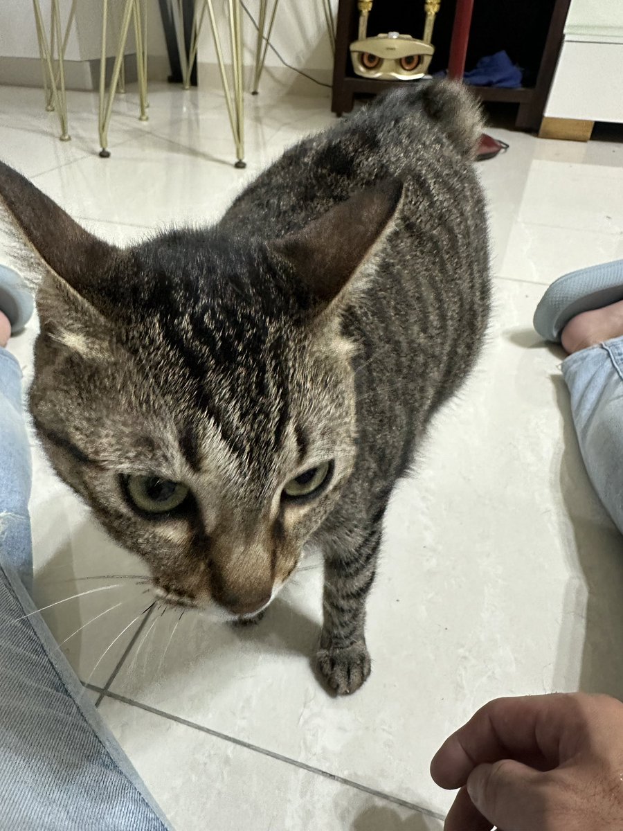 台南純愛組 tweet media