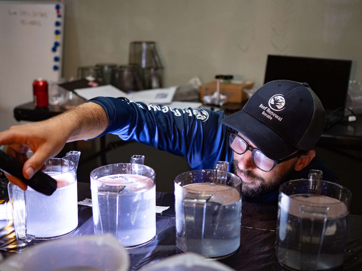 NAUI Worldwide tweet media