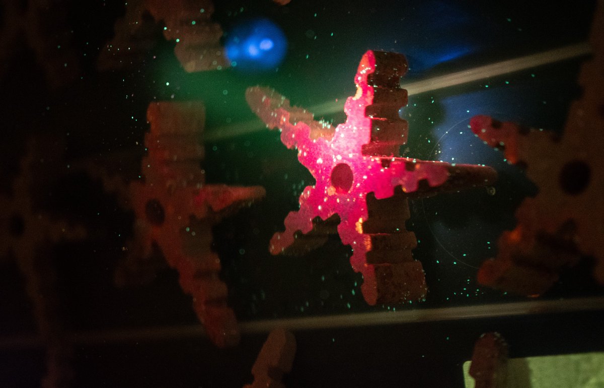 NAUI Worldwide tweet media