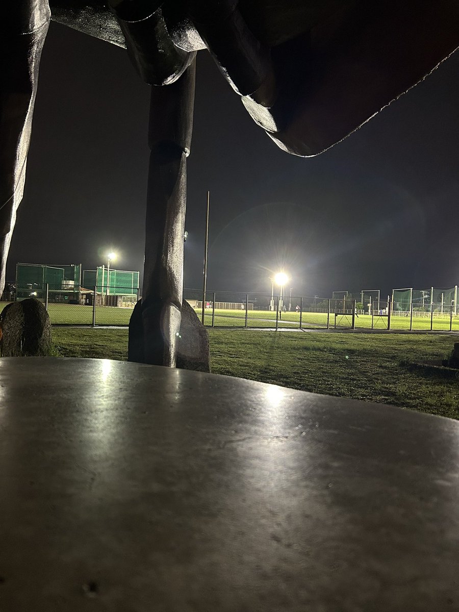 世界中のがじゃんが今瀬長島に集まってるしに痒い