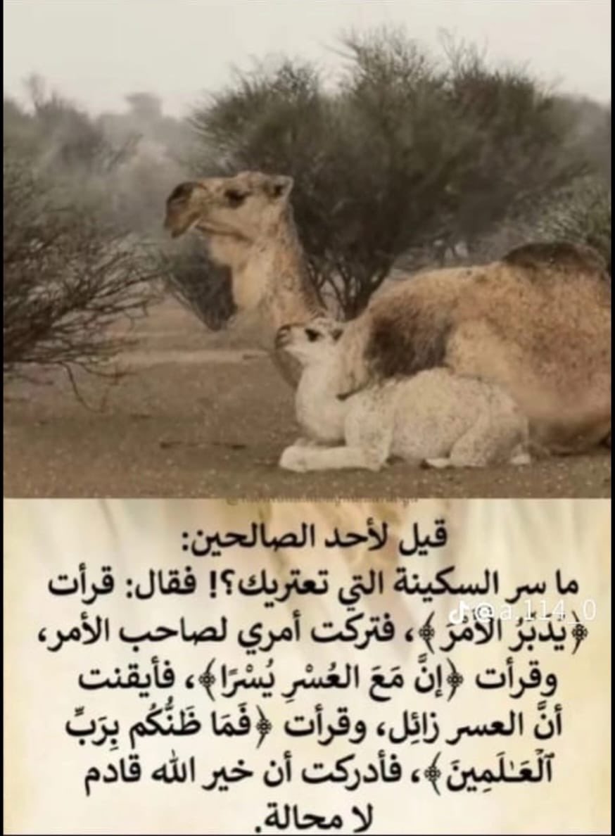 اسماعيل احمد (@ismailahmad_7) on Twitter photo 