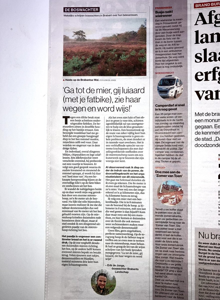 Mijn nieuwe #column ‘Ga tot de mier gij luiaard (met je fatbike) en word wijs!’ vandaag in <a href="/BNDeStem/">BN DeStem</a>