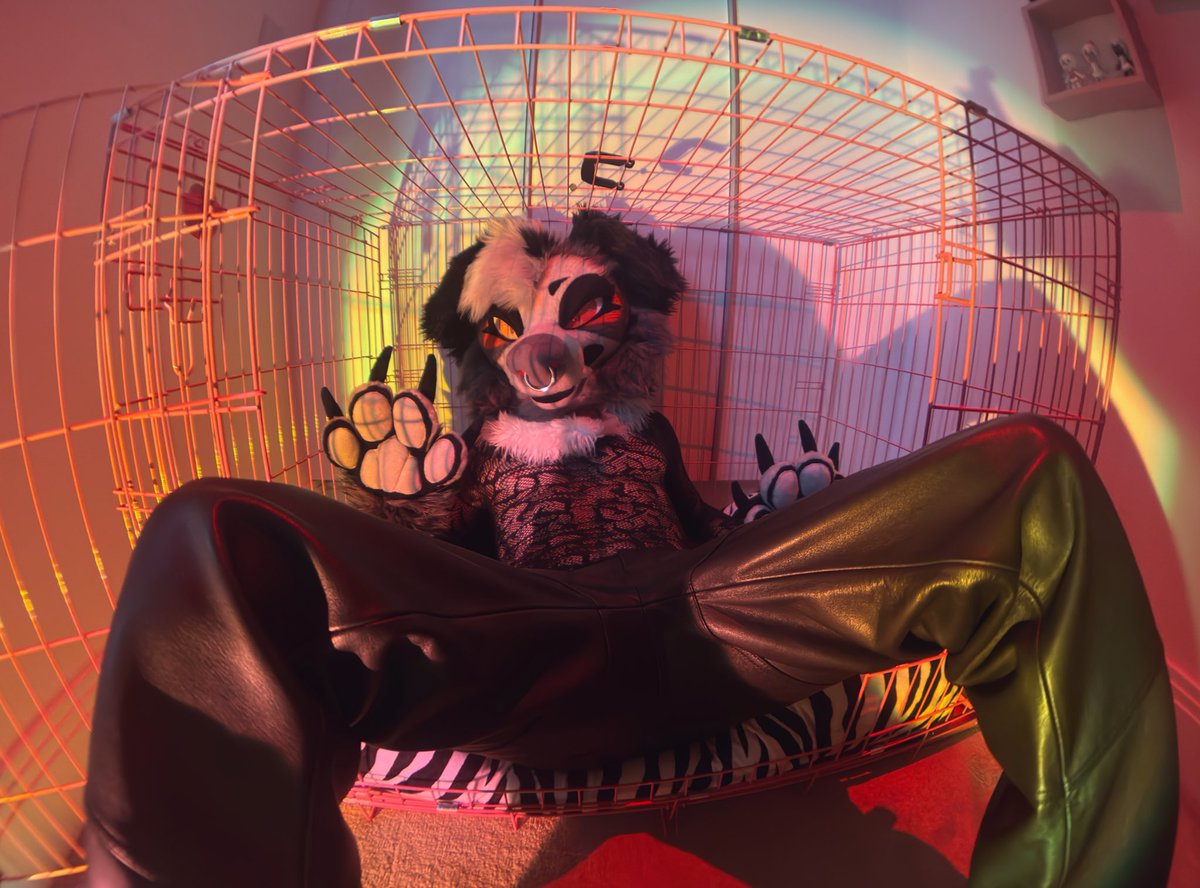 aura farming in my cage dni