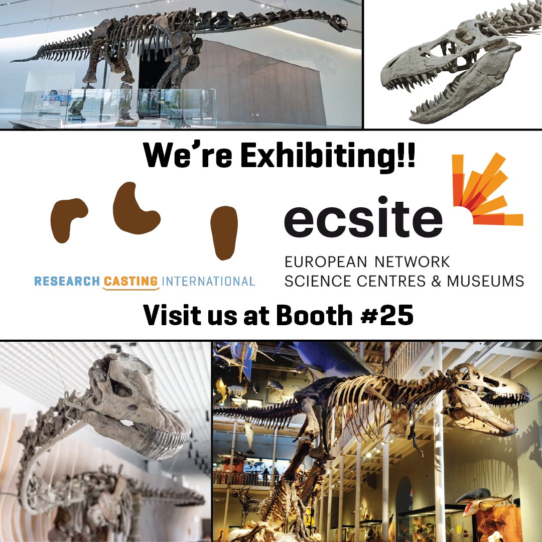 We are very excited to be exhibiting for our second year at <a href="/Ecsite/">Ecsite</a>'s annual conference, which is being held at Copernicus Science Centre in Warsaw, Poland from today until Thursday the 5th. Come by and visit us at Booth #25  

#RCI #SkeletonCrew #ECSITE #Ecsite2025 #Poland