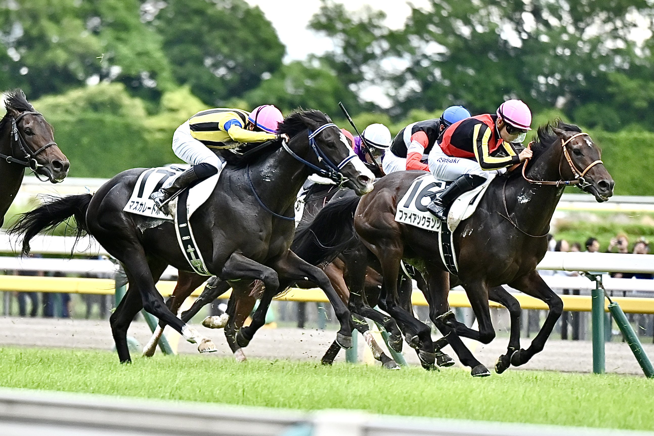中野競馬場🍦 on X: 