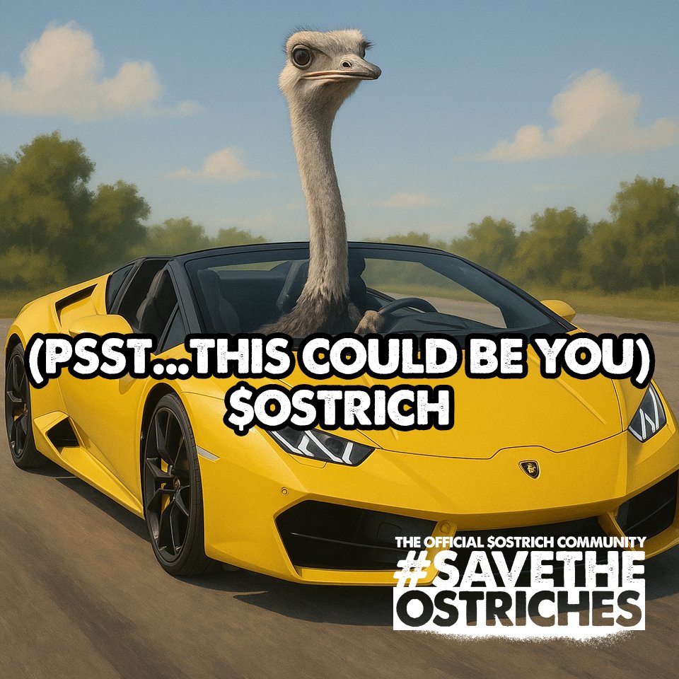 SaveTheOstriches tweet media