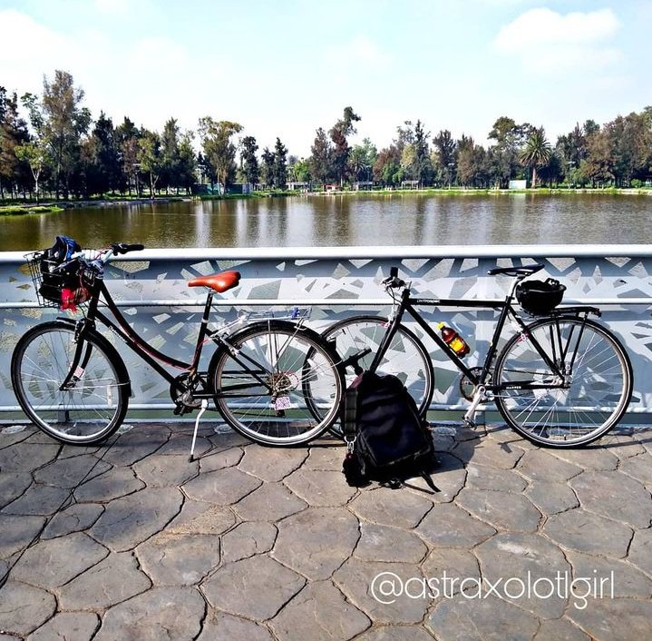 Astraxolotlgirl's tweet photo. Piernotas para que las tengo 🤟🏼❤️ gracias por enseñarme a ir más allá de mi zona de confort @ratondeciudadmx
Día mundial de la bicicleta
#DíaMundialdelaBicicleta #diainternacionaldelabicicleta #bicicleta #bicycle #rothar #mexico #ecatepec a #Xochimilco https://t.co/uCfRnMQJ8F