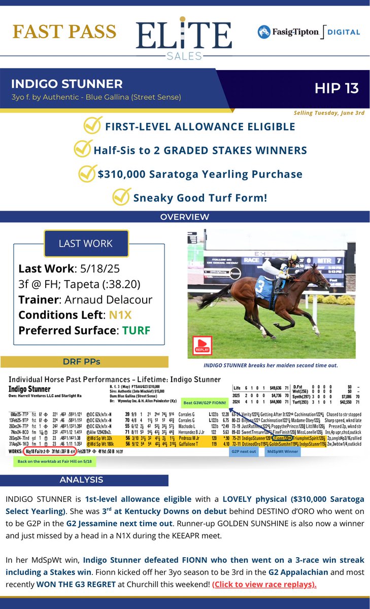 EliteSales (@eliteracesales) on Twitter photo Countdown is on ⏰ selling today <a href="/FasigTiptonCo/">Fasig-Tipton</a> Digital.
Hip 13 - INDIGO STUNNER
- back on the work tab at Fair Hill
- half sis to 2 GSWs
- yearling half-bro by JACK CHRISTOPHER sold for $350k as a weanling 💰
Sells at 2:12pm today! digital.fasigtipton.com/sales/entry/44… Countdown is on ⏰ selling today <a href="/FasigTiptonCo/">Fasig-Tipton</a> Digital.
Hip 13 - INDIGO STUNNER
- back on the work tab at Fair Hill
- half sis to 2 GSWs
- yearling half-bro by JACK CHRISTOPHER sold for $350k as a weanling 💰
Sells at 2:12pm today! digital.fasigtipton.com/sales/entry/44…