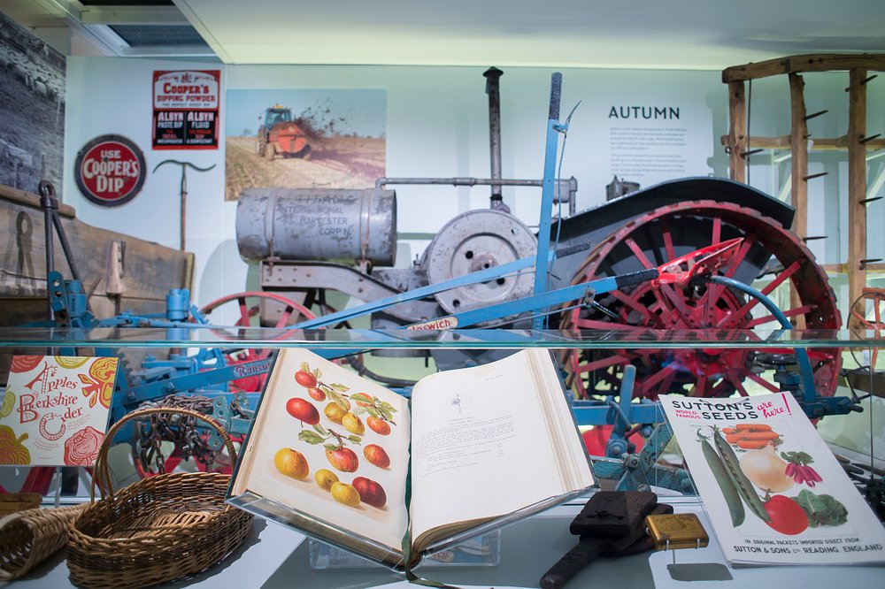 Connecting Research (@unirdg_research) on Twitter photo It’s #MuseumWeek2025. Our University is proud to host world-class museums, collections and archives. Together we work to foster innovative ideas and collaborations.
Discover the museums on campus:
<a href="/TheMERL/">The Museum of English Rural Life</a> <a href="/ColeZoology/">Cole Zoology Museum</a> <a href="/uremuseum/">Ure Museum of Greek Archaeology</a>
🔗 rdg.ac/3GZfLFt It’s #MuseumWeek2025. Our University is proud to host world-class museums, collections and archives. Together we work to foster innovative ideas and collaborations.
Discover the museums on campus:
<a href="/TheMERL/">The Museum of English Rural Life</a> <a href="/ColeZoology/">Cole Zoology Museum</a> <a href="/uremuseum/">Ure Museum of Greek Archaeology</a>
đź”— rdg.ac/3GZfLFt