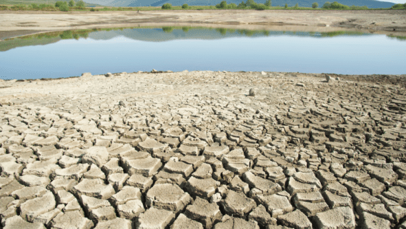 SDS Infrastructure tweet media