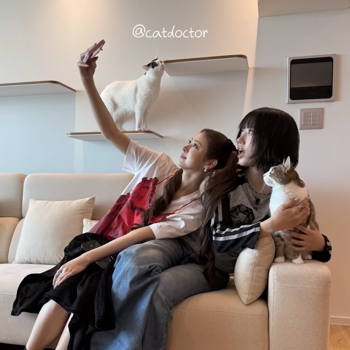 annaxpics's tweet photo. sooinna ₊˚⊹ᰔ https://t.co/yIzZNntf8m