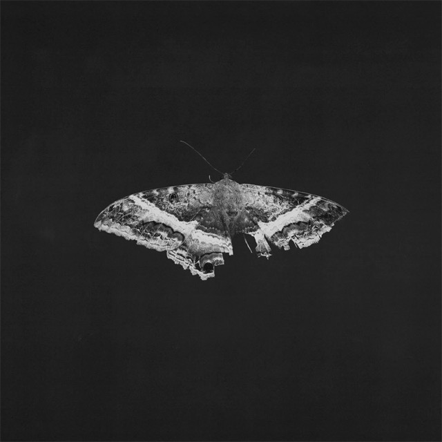 Lot Of Music tweet media