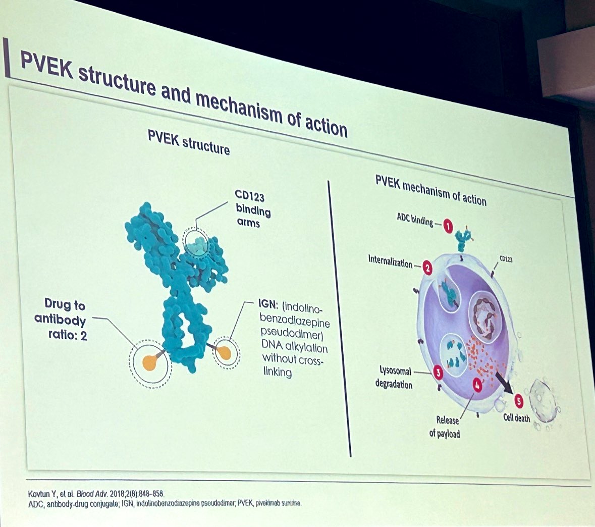 Naveen Pemmaraju, MD (@doctorpemm) on Twitter photo 👉👉👉#ASCO25 || I was truly honored to be invited to present our group’s work on #PVEK #CD123 for patients with #BPDCN at the <a href="/ASCO/">ASCO</a> annual meeting. Wonderful panel discussion with <a href="/mpdrc/">Ruben A. Mesa, MD</a> & <a href="/RaajitRampal/">Raajit Rampal, M.D.Ph.D.</a> & fantastic chair & moderation by Dr <a href="/RitaAssi4/">Rita Assi</a> | <a href="/MDAndersonNews/">MD Anderson Cancer Center</a> #endcancer 👉👉👉#ASCO25 || I was truly honored to be invited to present our group’s work on #PVEK #CD123 for patients with #BPDCN at the <a href="/ASCO/">ASCO</a> annual meeting. Wonderful panel discussion with <a href="/mpdrc/">Ruben A. Mesa, MD</a> & <a href="/RaajitRampal/">Raajit Rampal, M.D.Ph.D.</a> & fantastic chair & moderation by Dr <a href="/RitaAssi4/">Rita Assi</a> | <a href="/MDAndersonNews/">MD Anderson Cancer Center</a> #endcancer