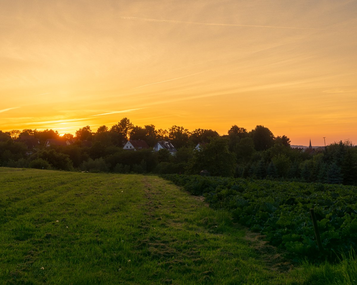 dan23freedom's tweet photo. Radiant Reverie
ยท
๐ท 1/25 sec at f/16, ISO 125, 50 mm standard 24-50mm โ๐ค #dan23freedom
#Rural #RuralExploration #Nature #NatureWalk #Trees #Sunset #Sky #Clouds #Germany #NR
#GoldenHourGlow #GoldenHorizons #SunsetSerenade #TranquilTwilight #EveningsEmbrace #RadiantReverie #Dusk https://t.co/M0QLcSh5gn