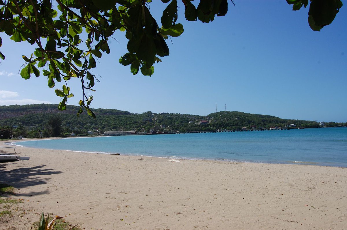 CaroleBeckford's tweet image. #DiscoveryBay #TuesdayScenes @jahmekyagyal - A place to look out!