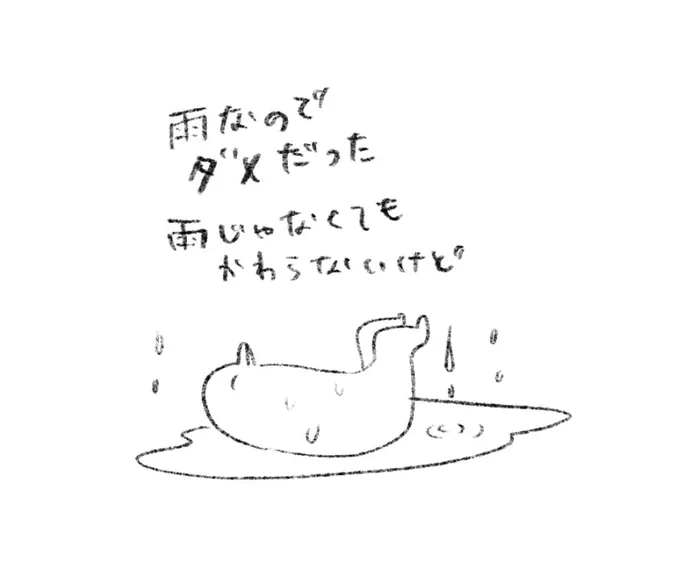 雨なので 