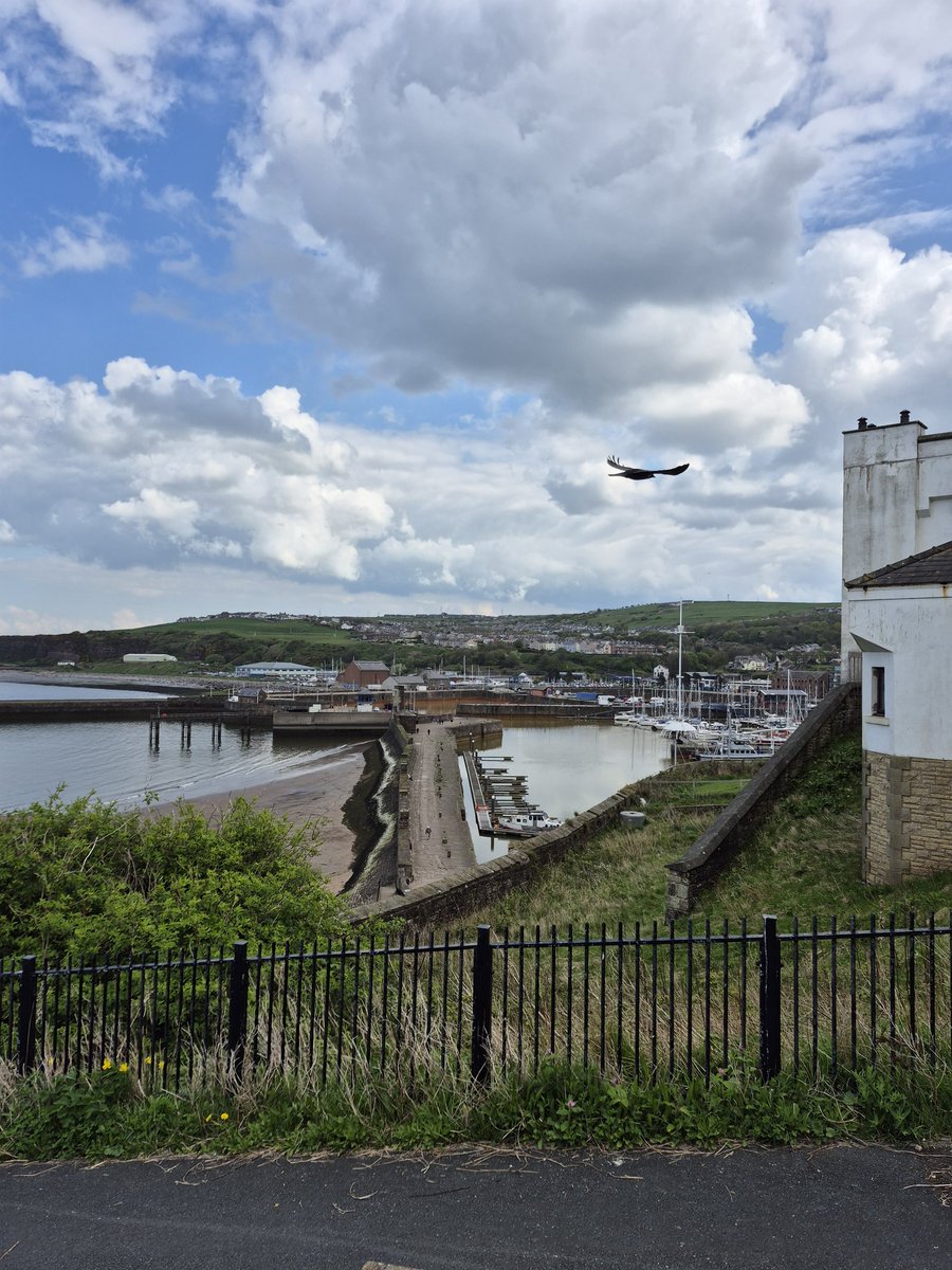 DavidJarratt1's tweet image. 📢 Live, work or make decisions along the #Cumberland #coast?
From footpaths to harbours, we want to know how you value local public spaces.

Please take 5 mins to complete our short anonymous survey:
🔗 uclan.eu.qualtrics.com/jfe/form/SV_51…

#PublicSpaces #CoastalCommunities #WestCumbria