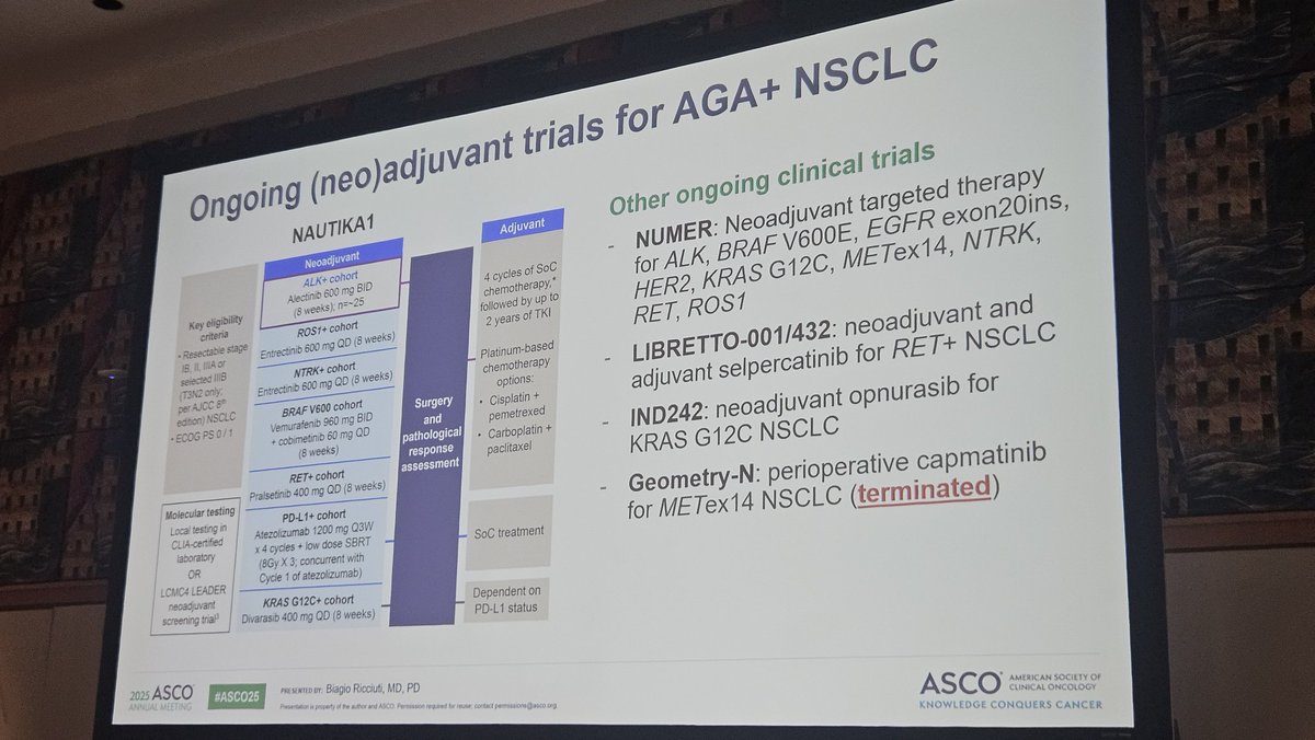 MarceloCorassa's tweet image. What about the rare stuff? @BRicciutiMD sheds light in what to do in patients with AGAs that could potentially respond to IO, such as MET, BRAF and KRAS. And it would not be Biagio without an opinion on STK11/KEAP1 co-mutations. #ASCO25