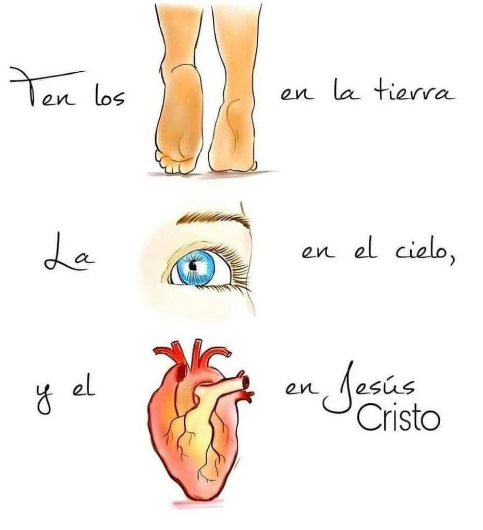 Pildorasdefe's tweet photo. https://t.co/woHhHDoYbv