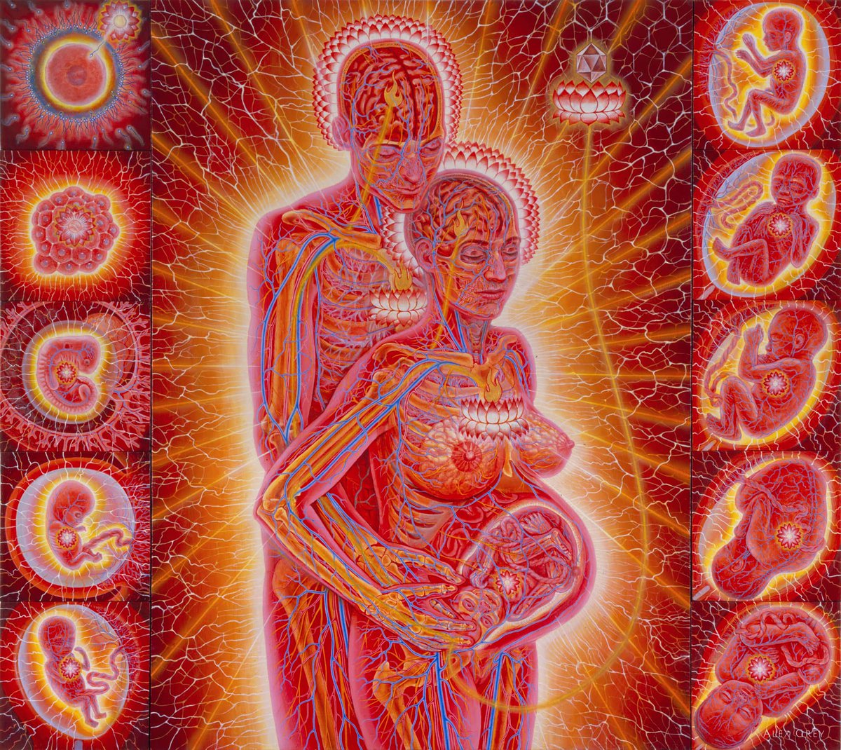 Pregnancy by Alex Grey, 1989