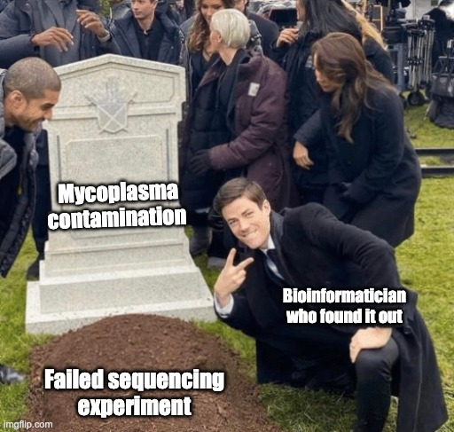 Your cell line sequencing data isn’t mapping well?
 Before blaming the aligner—check if you're sequencing bacteria instead of human.
 Let’s talk about mycoplasma contamination.