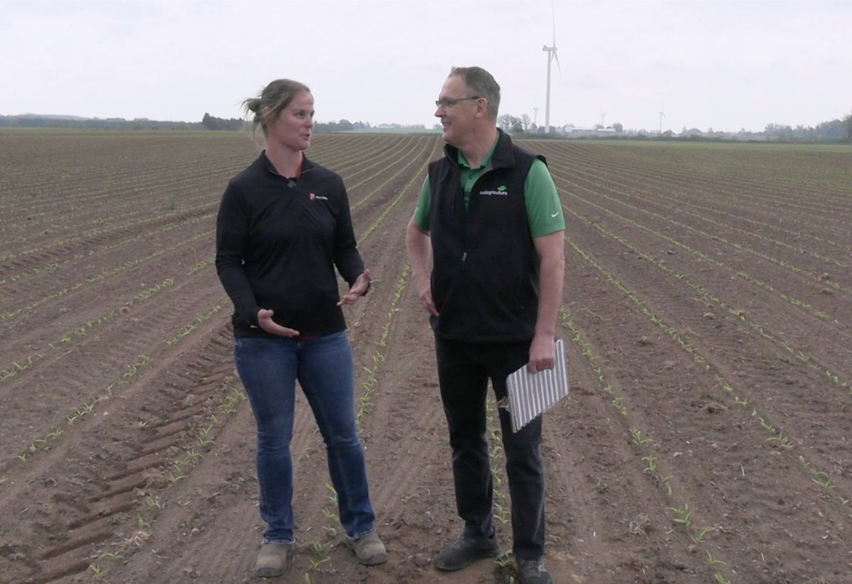 Bernard Tobin (@agbern) on Twitter photo Is it a workhorse or a racehorse? Steph Myslik <a href="/PRIDESeeds/">PRIDE Seeds</a> shares how different hybrids respond to in-season foliar fertilizer application on Corn School <a href="/realagriculture/">RealAgriculture</a> <a href="/PRIDESeeds/">PRIDE Seeds</a> <a href="/BASFAgSolutions/">BASF Canada Agricultural Solutions</a> tinyurl.com/3v9s3x3x Is it a workhorse or a racehorse? Steph Myslik <a href="/PRIDESeeds/">PRIDE Seeds</a> shares how different hybrids respond to in-season foliar fertilizer application on Corn School <a href="/realagriculture/">RealAgriculture</a> <a href="/PRIDESeeds/">PRIDE Seeds</a> <a href="/BASFAgSolutions/">BASF Canada Agricultural Solutions</a> tinyurl.com/3v9s3x3x