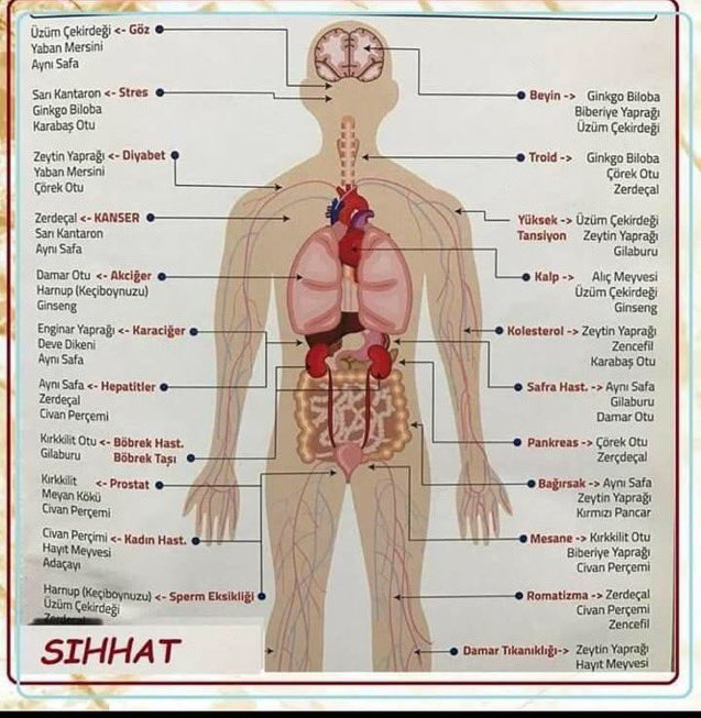 VÜCUDUMUZDAKİ HASTALIKLARA İYİ GELİCEK GIDALAR
