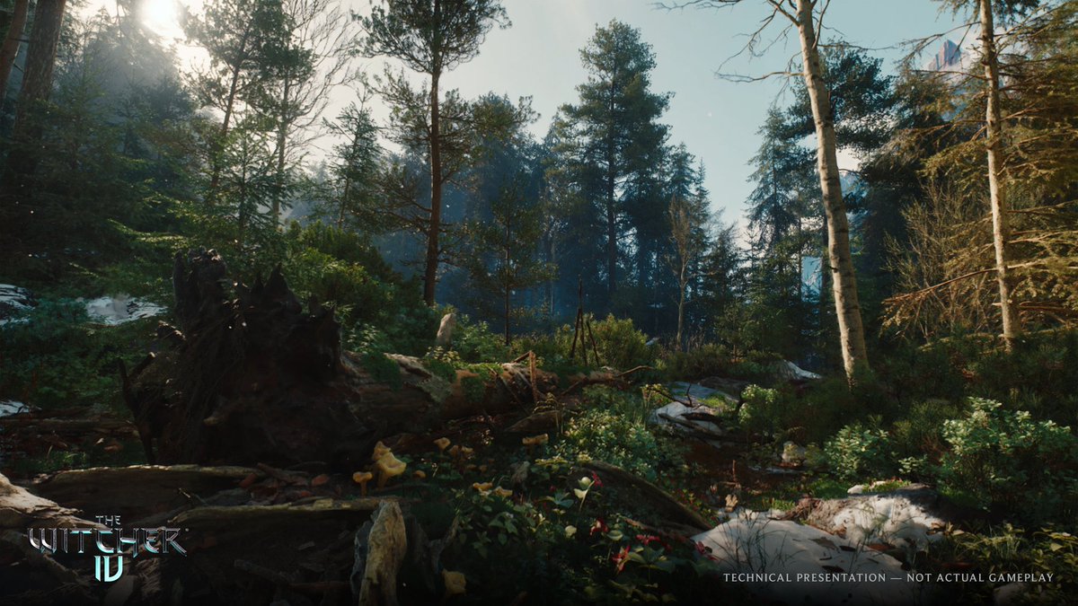 THE WITCHER 4 LOOKS BEAUTIFUL

THEY ACTUALLY COOKED 😭😭😭