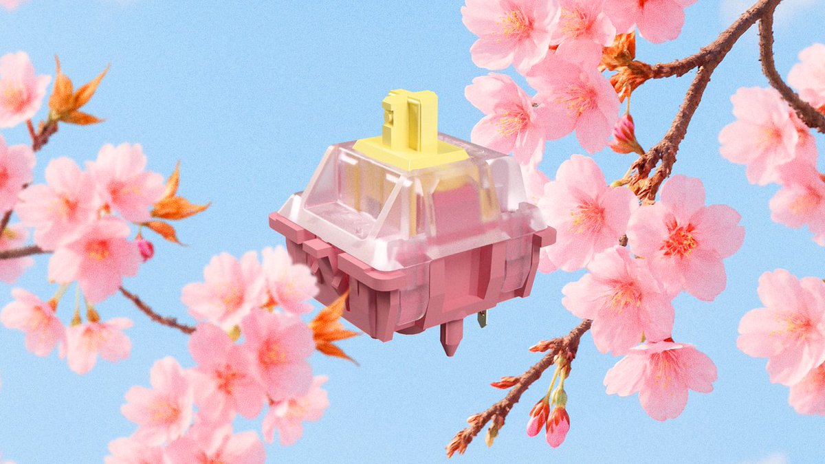 org_cherry's tweet photo. CHERRY MX Blossom - effortless precision. 🌸 
Our lightest linear mechanical switch yet! 
🌸 actuation force of just 35 cN
🌸 ultra-light typing experience
🌸 effortless control
🌸 for users who prefer speed, responsiveness, and comfort.
🔗 https://t.co/rpAxbU8KUI https://t.co/Qf5rRKl0hS
