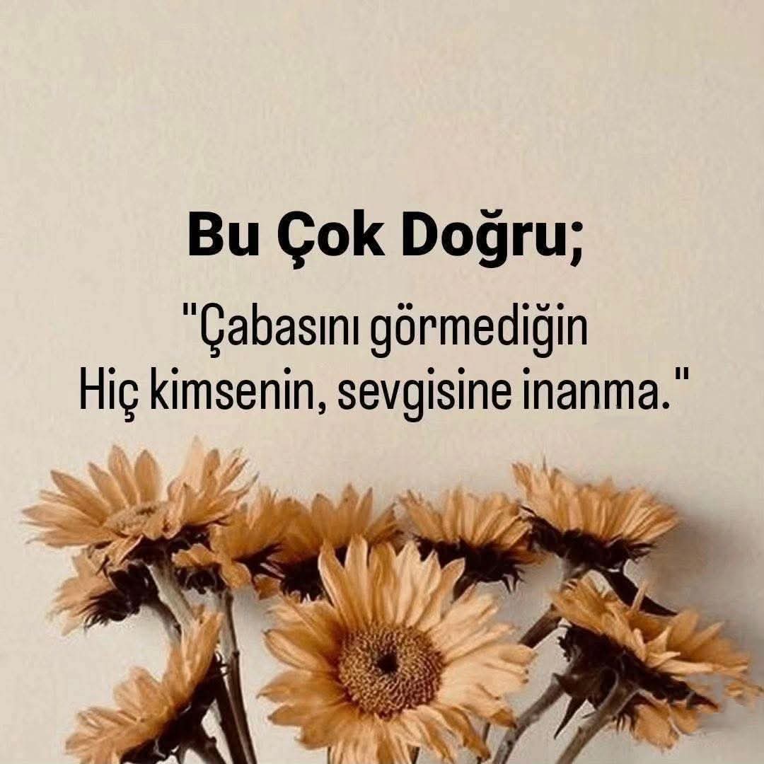 Hasan Olgar (@hasanolgar18) on Twitter photo 