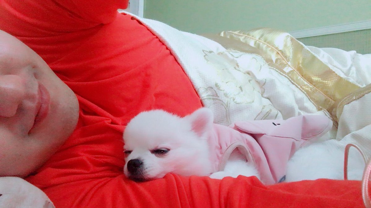 ji-Man Choi 26 tweet media