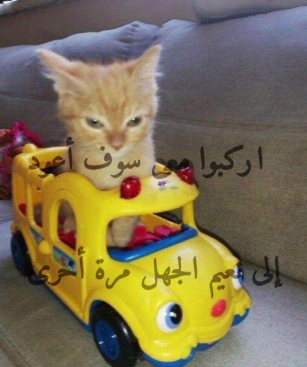 ‏نُونوღ (@11non6) on Twitter photo 