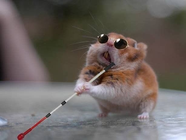 La justicia cada vez que salta un acto de corrupción del Partido Nacional