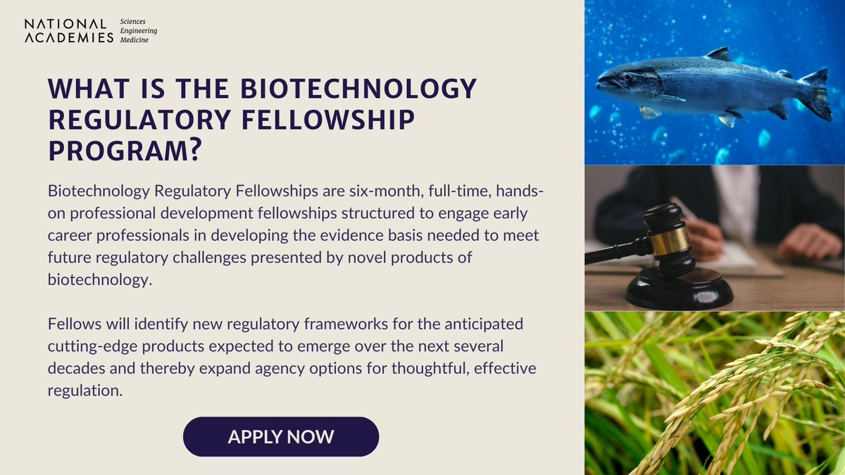 Biotechnology Regulatory Fellowship Program (@nasem_bioregfs) on Twitter photo FAQ Spotlight: What is the Biotechnology Regulatory Fellowship?
Looking to understand what this fellowship is about? Get the details you need here
Apply today to become part of the program - ow.ly/3Nck50W1auf
#Biotechnologyregulatory #NASEM #PolicyCareers #fellowship FAQ Spotlight: What is the Biotechnology Regulatory Fellowship?
Looking to understand what this fellowship is about? Get the details you need here
Apply today to become part of the program - ow.ly/3Nck50W1auf
#Biotechnologyregulatory #NASEM #PolicyCareers #fellowship