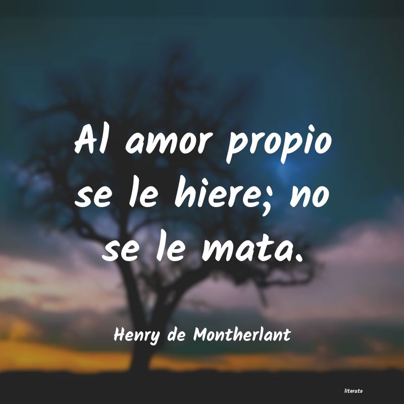 🌹 La frase del día: Al amor propio se le hiere; no se le mata. (Henry de Montherlant)
#frases #vic3nt3