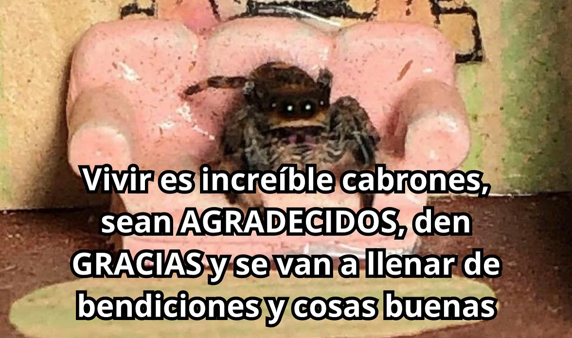 emociones amarillas (@conoloracigarro) on Twitter photo 