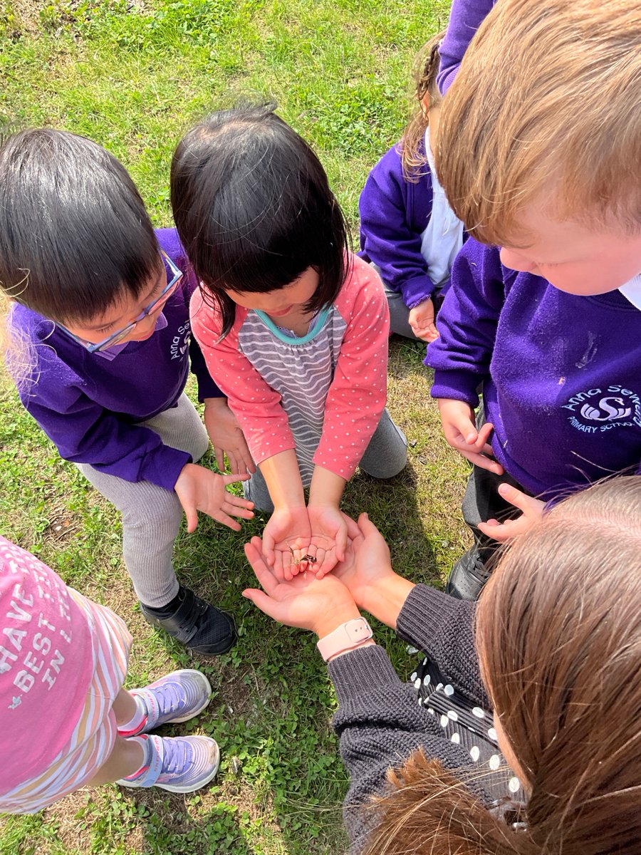 Today was a very exciting day in Nursery! The once 5 tiny caterpillars, have all turned into beautiful butterflies.  This afternoon we set them free on our  school grounds,  with  learning  really  brought  to  life. 🐛🦋

<a href="/the_atlp/">The Arthur Terry Learning Partnership (ATLP)</a>